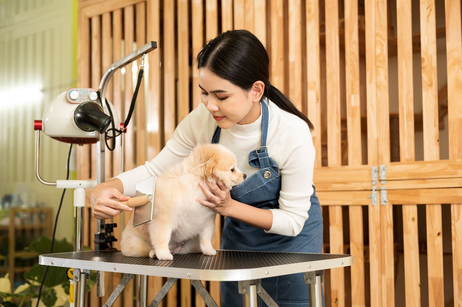 Quản lý tiệm thú cưng