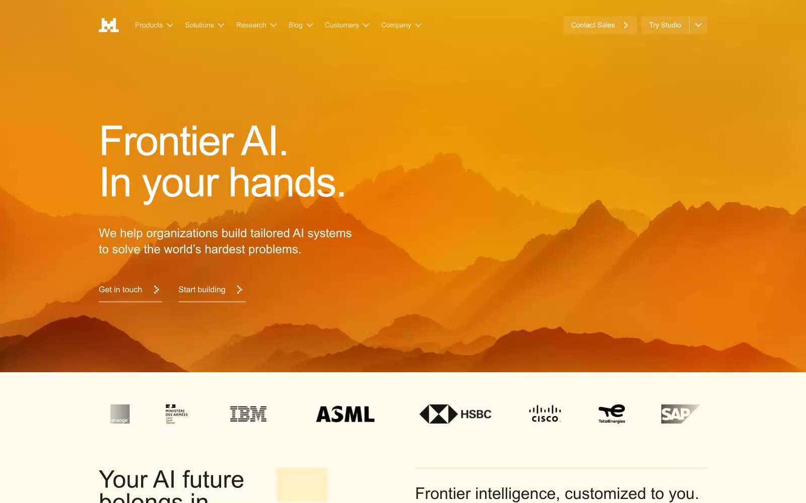 Frontier AI LLMs