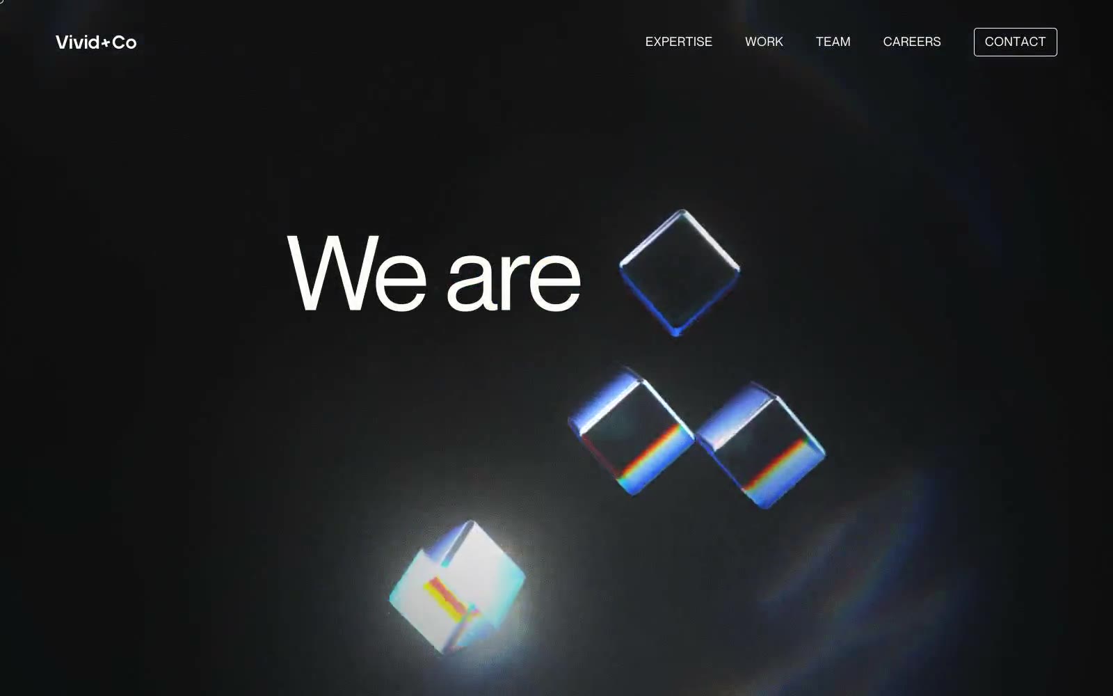 Vivid+Co